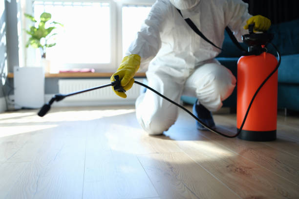 Reliable Infectious Disease Decontamination contractor in El Dorado Hills, CA by Crime Scene Cleaner Online